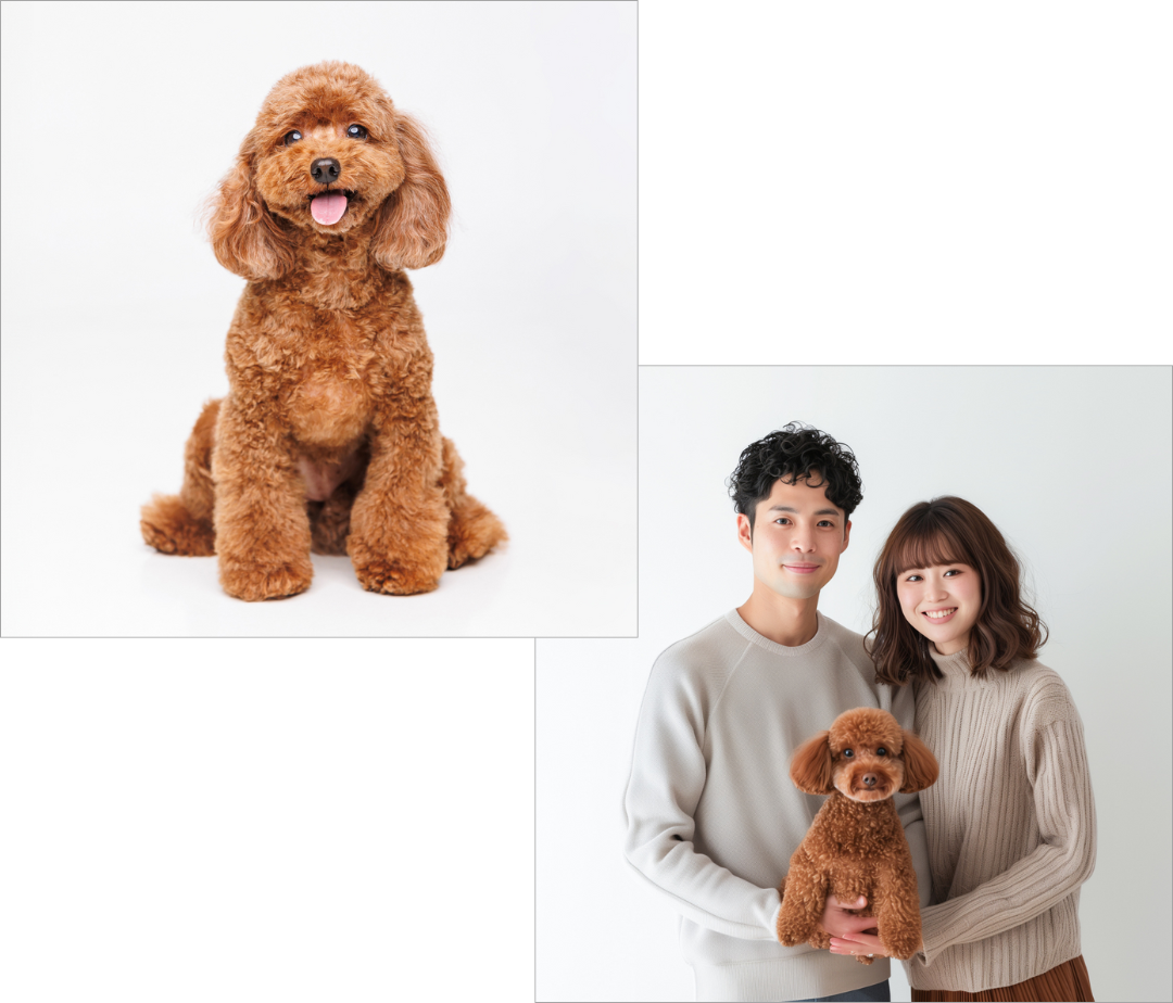 ドッグ＆家族写真